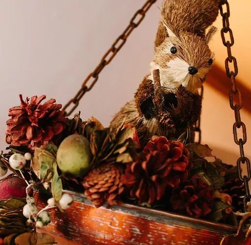 Hotel Cornelio Cortina dʼAmpezzo